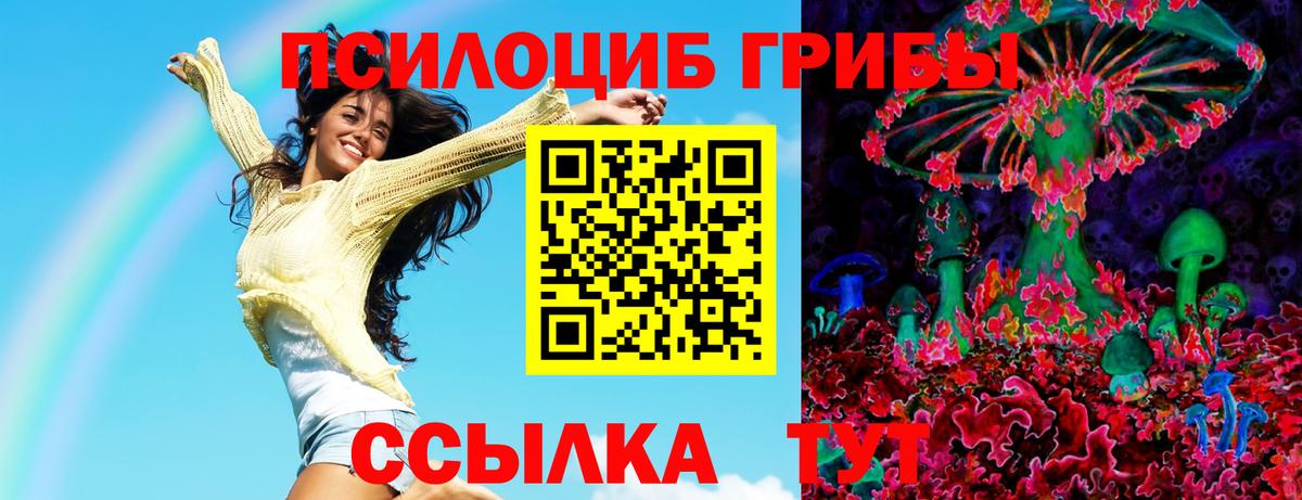 Курчалой  Галлюциногенные грибы мицелий  Вход с VPN  Псилоцибиновые грибы MAGIC MUSHROOMS 